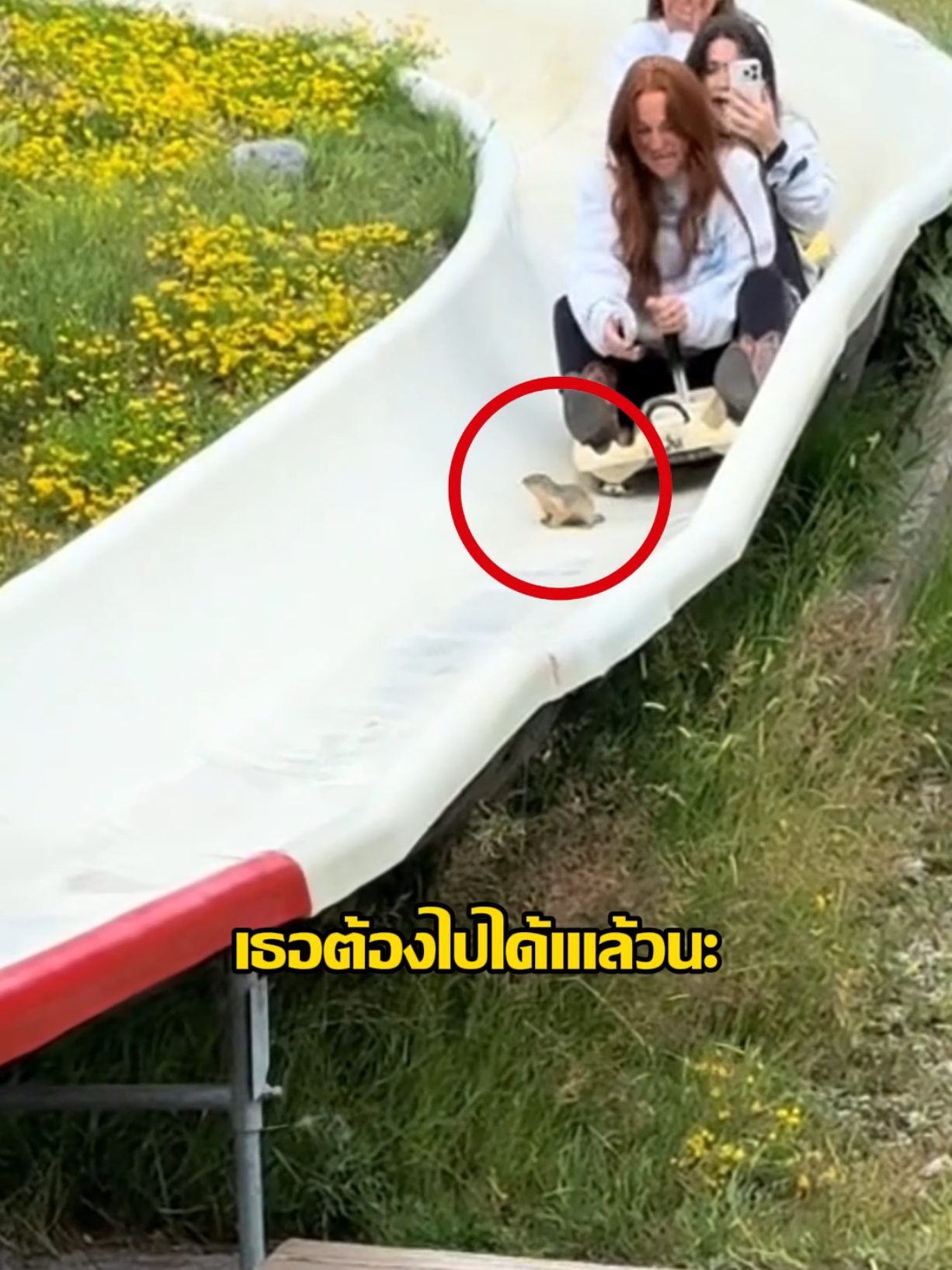 อุปสรรคที่น่ารักที่สุดในโลก!