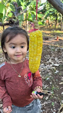 Survival Skills: Mother boils corn for her child to eat #bushcraft #camping #Outdoors #survival