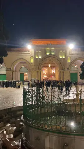 ‏فلسطيني وأفتخر ابن اللد#🤲 #اكسبلور #🤲 