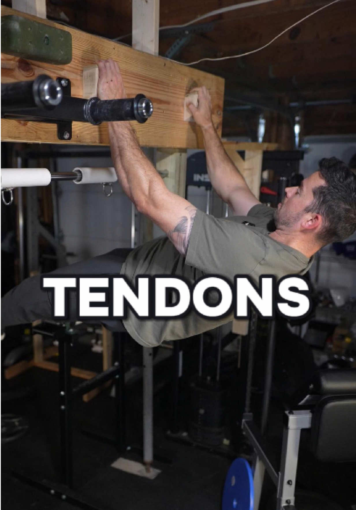 The Hidden Strength - Tendons