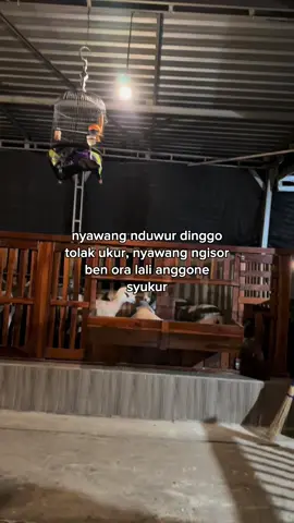 #katakatajawa #latarjawa 