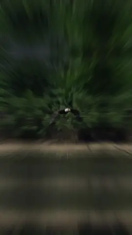 #CapCut 🎶😎🦅🎶 #كسبلور #قالب_جاهز_فخم_ #قونيا________________قونيا😌💙 #تصميم_فيديوهات🎶🎤🎬 