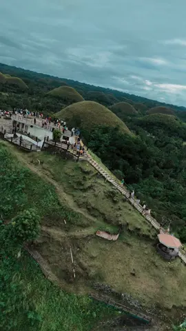 FLY like a bird from hill to hill ✈️ BoholTour + Free drone shot here. ☺️ #bohol #balicasag #freedrone #chocolatehills #boholfreedrone 