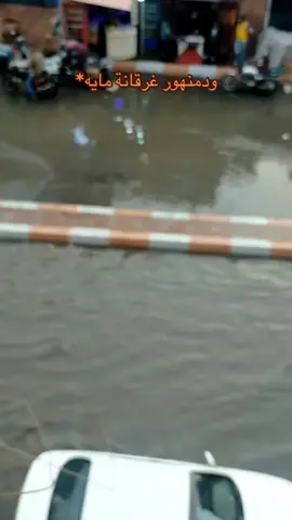 #دمنهور #viral #ziad_ebra7im  #damnhour 