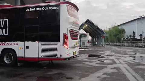 sarangeyo dari supir #fyp #creatorsearchinsights #mtransbali #tiketbusmtrans #viral 