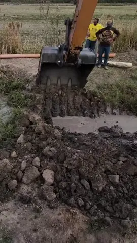 #brasil🇧🇷 #agro #trator 