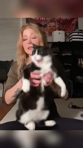 Cat 😂#funnycats #catsoftiktiok #usfyp #pet #cat 