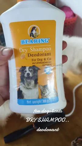 Dogs Dry Shampoo #bearing #dogthings  #fyp #creatorsearchinsight 