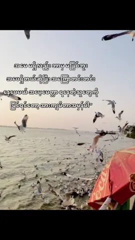 အမေ့မေတ္တာရနေတဲ့သူတွေမြင်ရင်အားကျမိတယ်#viwes #foryou #tiktokviral 