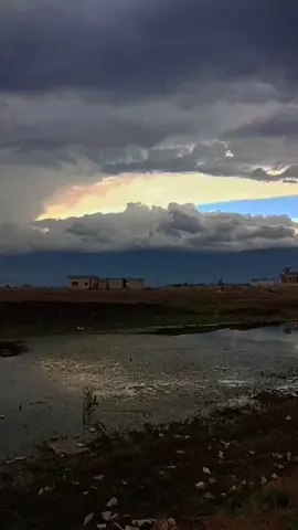 #سهل_الغاب_الحبيب #العمقية 