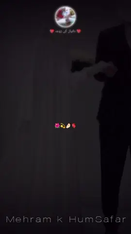 بلکل 👍🏻💯💫#creatorsearchinsights 