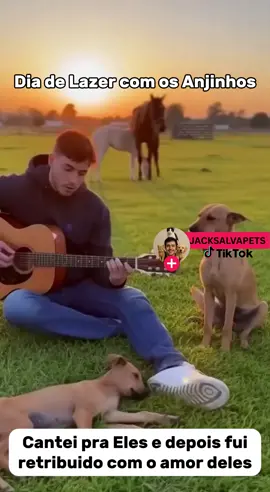 ONTEM FINAL DO DIA FOI LINDO! #tiktokshop #fyp #trend #fyppppppppppppppppppppppp #animalrescue 