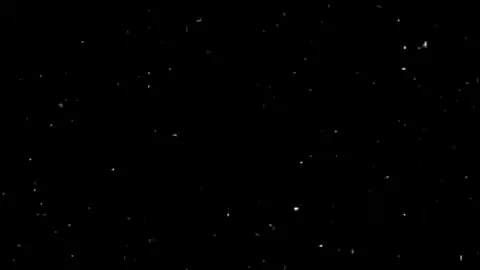 هيا هيا جيارا تصفارو تخضر#MMMMMM #جديده_في_تيك_توك 