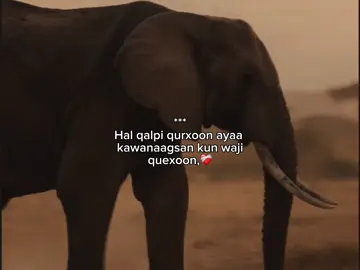 Really ,❤️‍🩹🥹#fouryoupage 