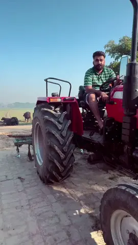 #creatorsearchinsights #fyp #viralvideo #viraltiktok 