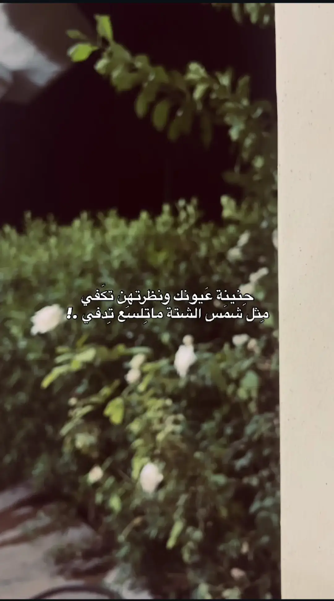 #ستوريات #مقالات #رسائل #ستوريات 