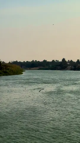 #شعر #عبارات  #شعروقصايد  #شعراء_وذواقين_الشعر_الشعبي  #راحلين🚬 