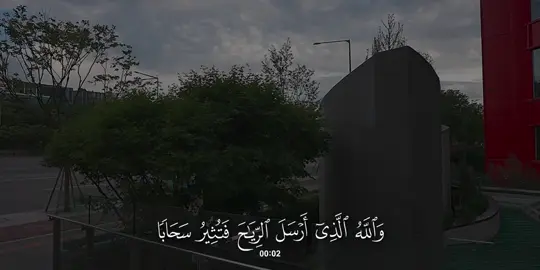 سورة #فاطر | #علاء_المزجاجي 