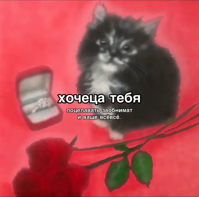 все таки вдвоем это лучше чем пусто 😔  #щп #любимый #send 