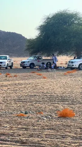 #الشلاتين_اسوان_البشارية_والعبابدة🇪🇬❤✌🏻 