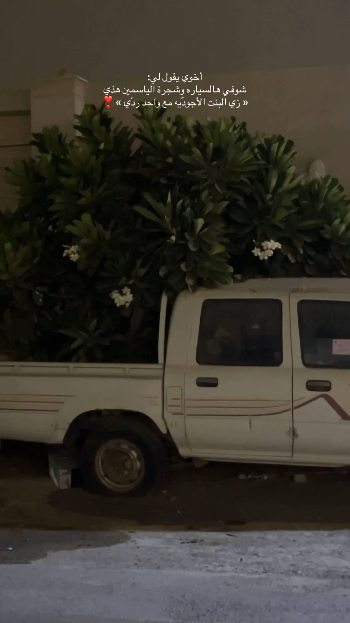 #اكسبلورexplore #اكسبلوووور 