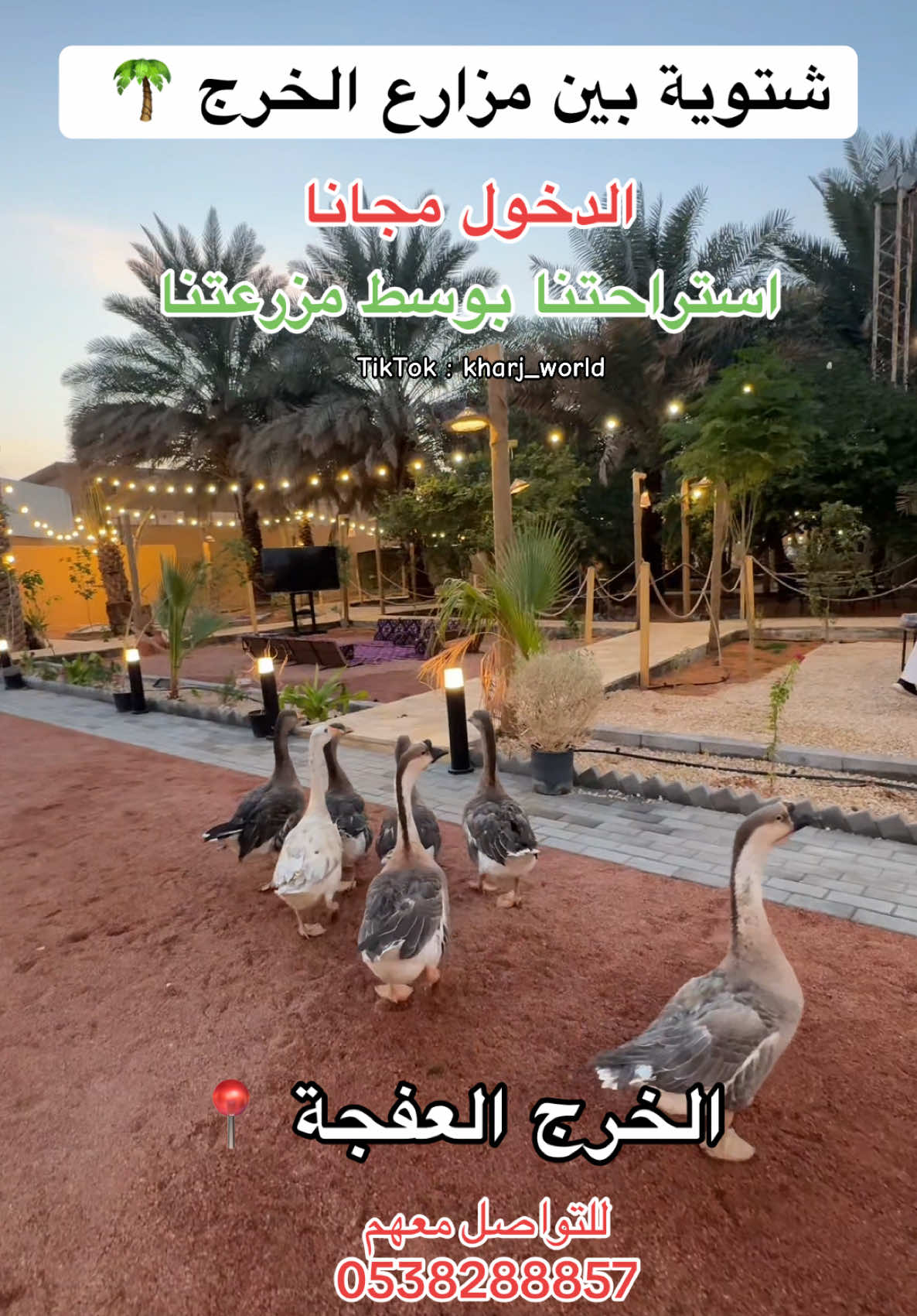 احدث مزارع وشتويات الخرج مزرعة استراحتنا بوسط مزرعتنا في العفجة 📍 تواصلوا على رقمهم يرسلون لكم الموقع 🫵🏻😍 الدخول مجانا والجلوس مجانا فقط اطلب واكشت 🤩🔥 #عالم_الخرج🌎  #تغطيات_عالم_الخرج🌎  #الخرج  #برج_الخرج  #مزارع_الخرج 