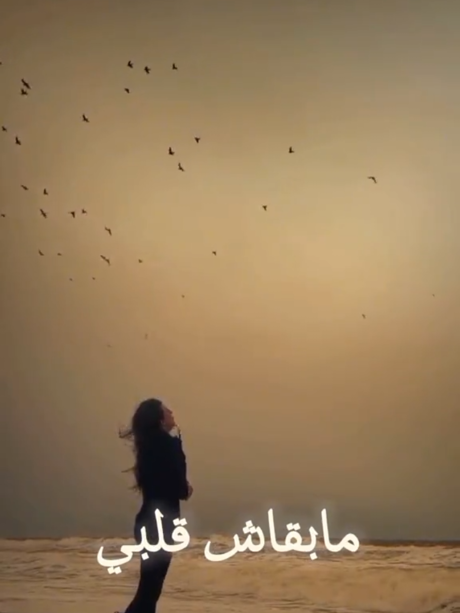 #في هذا اليوم  مبقاش قلبي