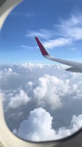 Pretty little things in Ceylon ;)