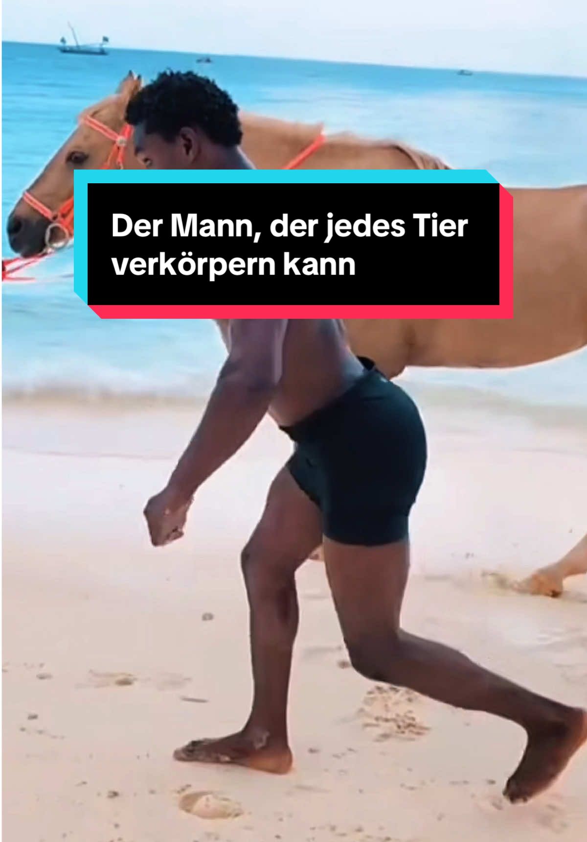 Seine Beweglichkeit wirkt wie aus einer anderen Welt. Hassan Gorilla beeindruckt Millionen mit seiner unglaublichen Fähigkeit, sich in jedes Tier zu verwandeln - ganz ohne Tricks. Schau dir das bis zum Ende an, du wirst es kaum glauben. #talent #verwandlung #unglaublich #viral #tiktokdeutschland 