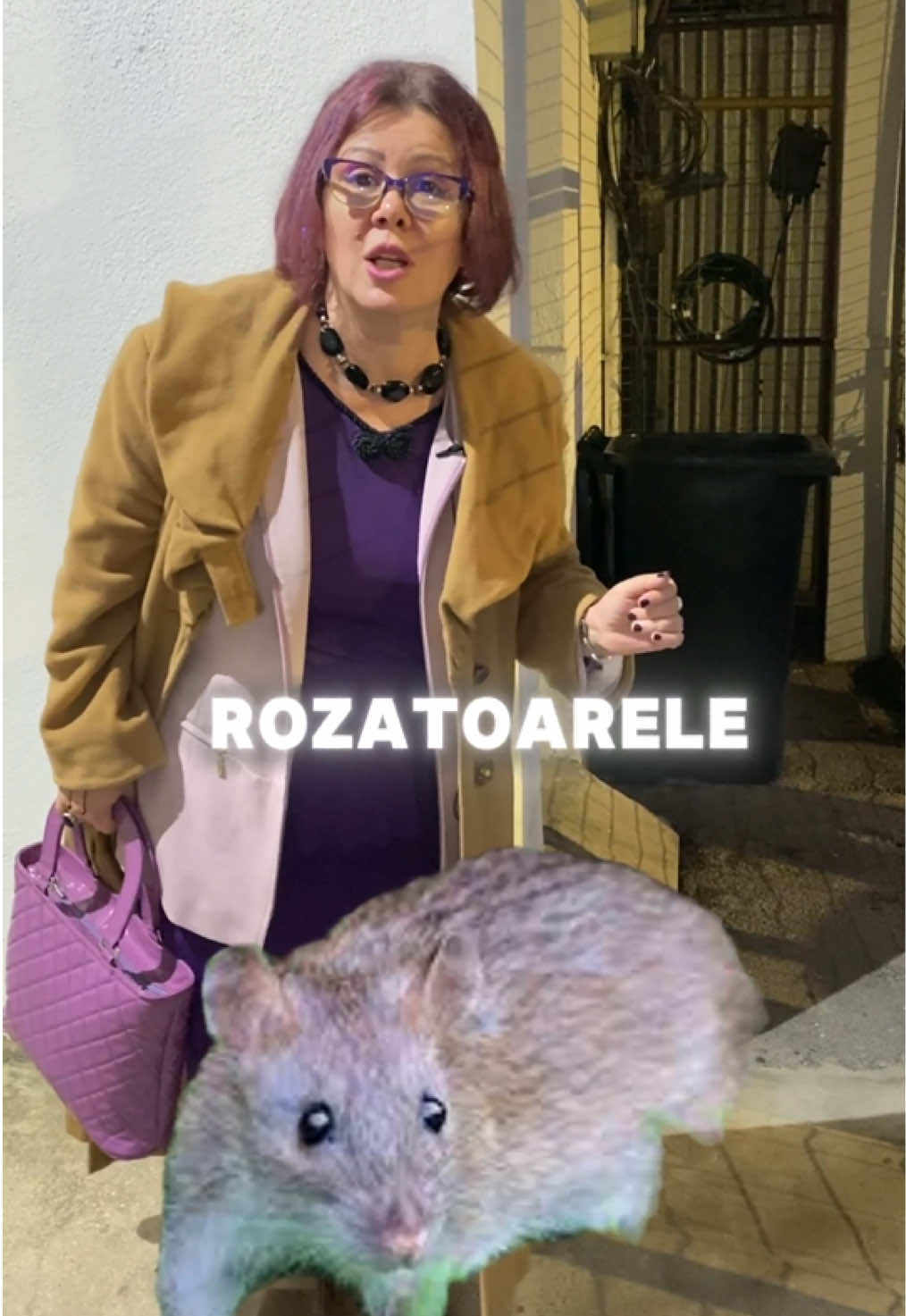 Ce facem cu șobolanii? #libertate #guvern #hoti #psdu #prezidentiale 