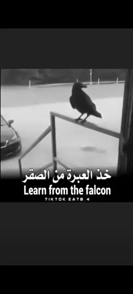 عزه النفس اغلا من كل شي#👍👍