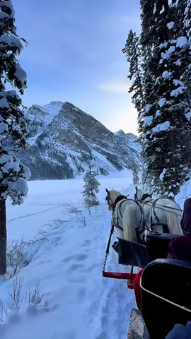 Soon to be winter wonderland ☃️#fyp #winter #canada #winterwonderland #snow 