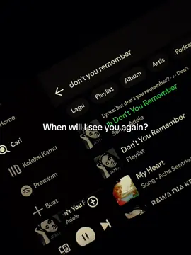 #lyrics #liriklagu #dontyouremember #fyp #spotify 