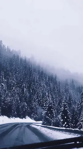 لا تنخدع بالكلمات الجميله  #اقتباسات  #ستوريات  #خواطر  #عبارات  #اقوال_وحكم_الحياة 