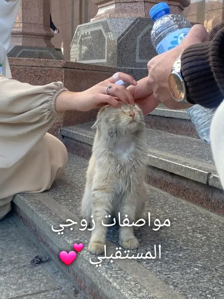 #viral #foryou #fyppppppppppppppppppppppp #fyyyyyyyyyyyyyyyy #مواصفات_شريك_المستقبل 