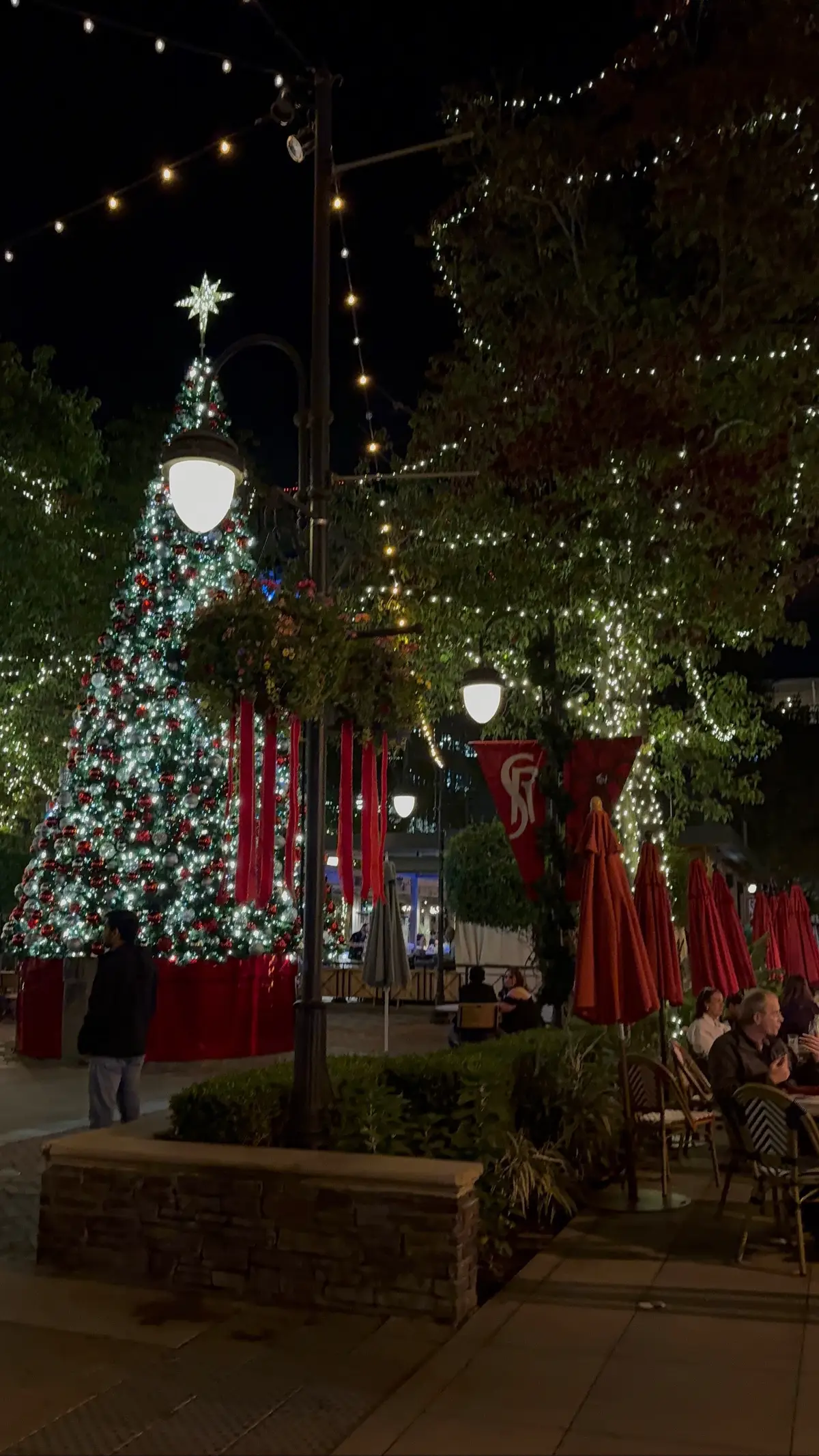 night stroll photo dumpy