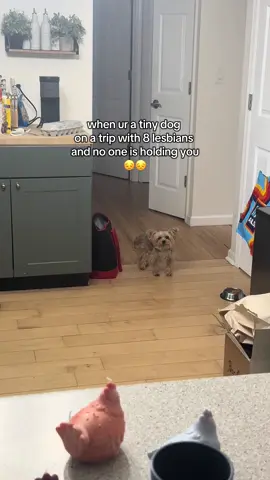 mom? moms? other mom? 