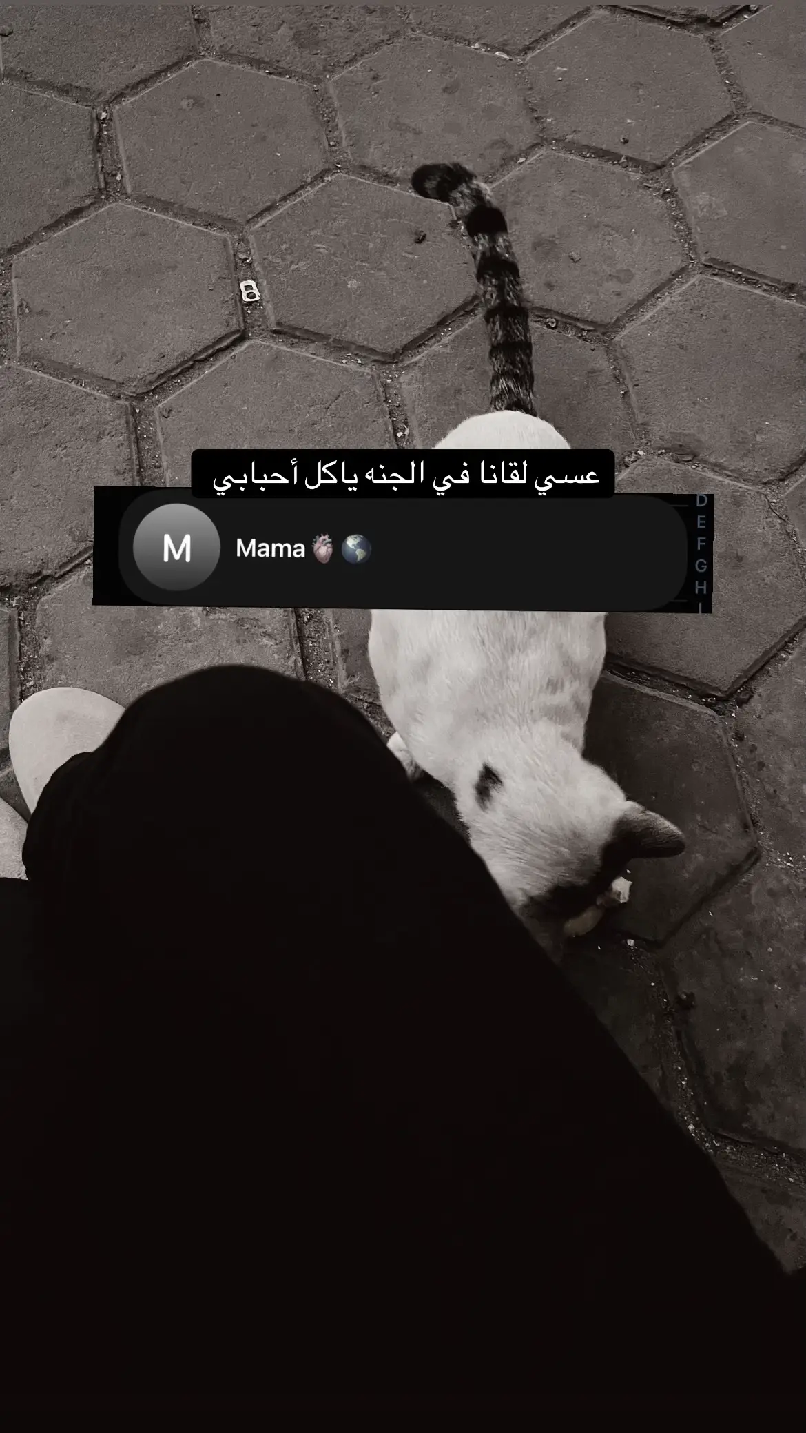 #ماما #فقيدتي 