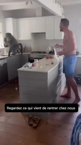 Comme d’hab les babouins 🫠