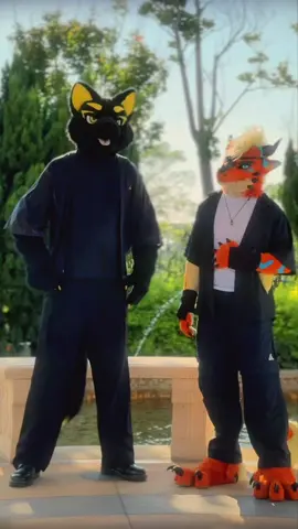 居合術 #fyp #fursuit #meme #lol #foryou 