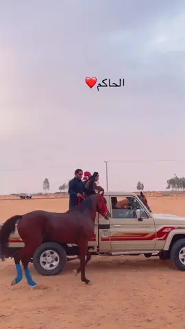 #اكسبلور #الشعب_الصيني_ماله_حل😂😂 #حايل #القصيم_بريده_عنيزه_الرس_البكيرية 