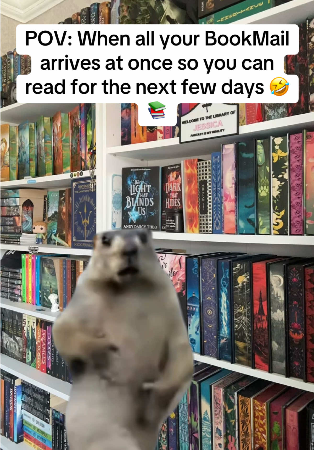 True 🤣📚 #BookTok #bookish #MemeCut #CapCut #bookmeme 