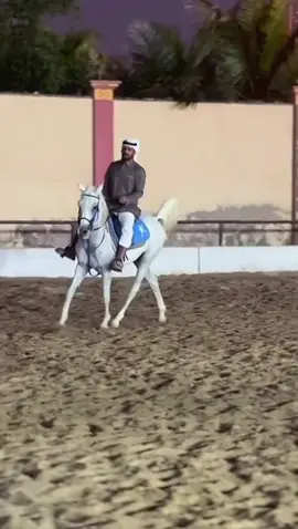 أبطال ماهو مجاملة ولكنها حقيقية #سامي_البقمي #ftypシ   #سعد_ال_مخفور #عصام_القرني #محمد_ال_راجح 