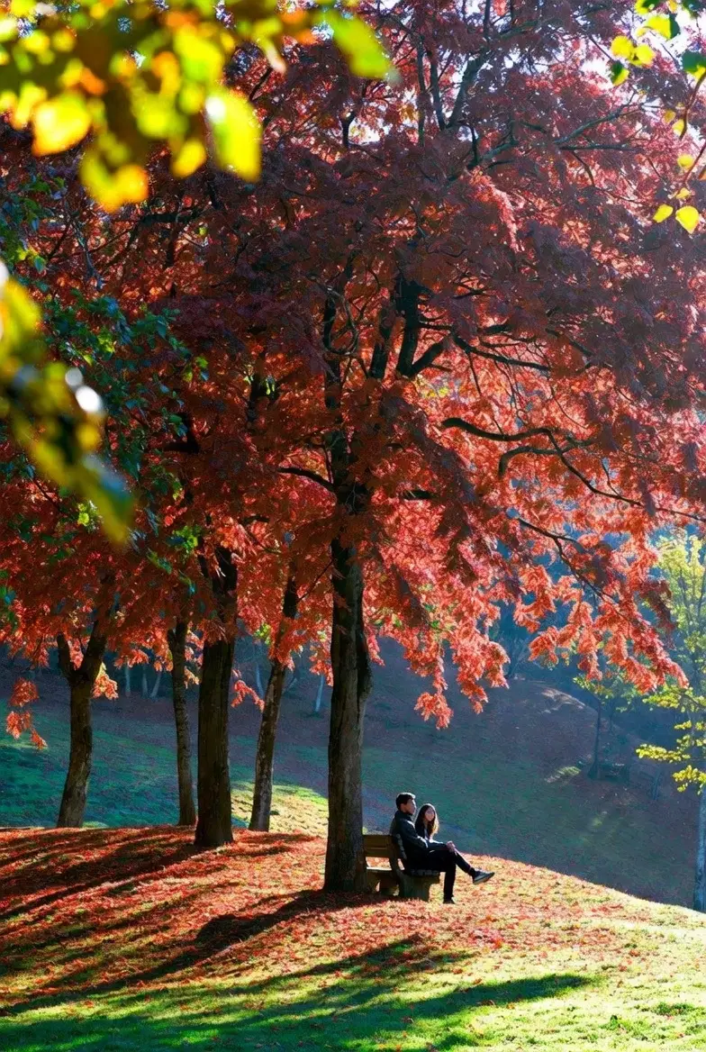 #Bahut Piayr Kartay Han TumKo Sanam 