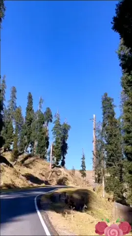 #beauty #of#kashmir #viralvideo_tiktok ❤️❤️