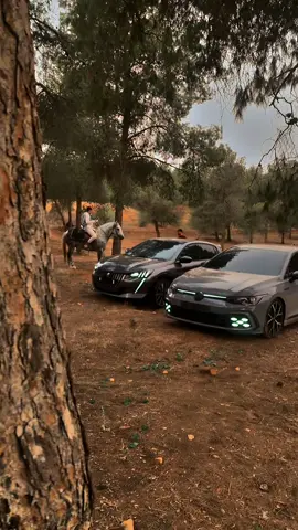 #chlef02 #fyp #chlef #شعب_الصيني_ماله_حل😂😂 