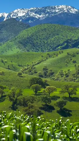 #wierdcore #dreamcore  #liminalspaces #nostalgic  #backrooms 