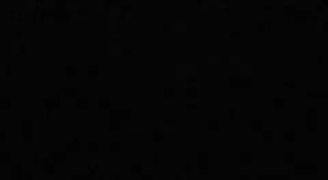 #محمد_اللحيدان #القران_الكريم