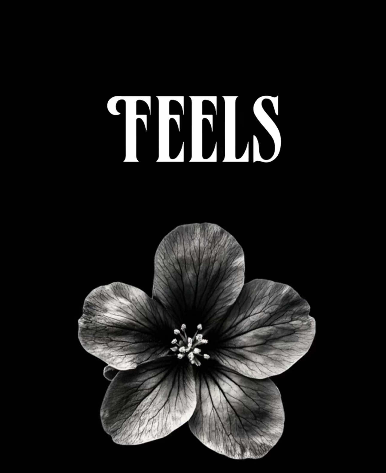 this song >> ♫ || Feels - Katy Perry (Lyrics) #fyp #lyrics #lyricstrends998 #foryou #viral 