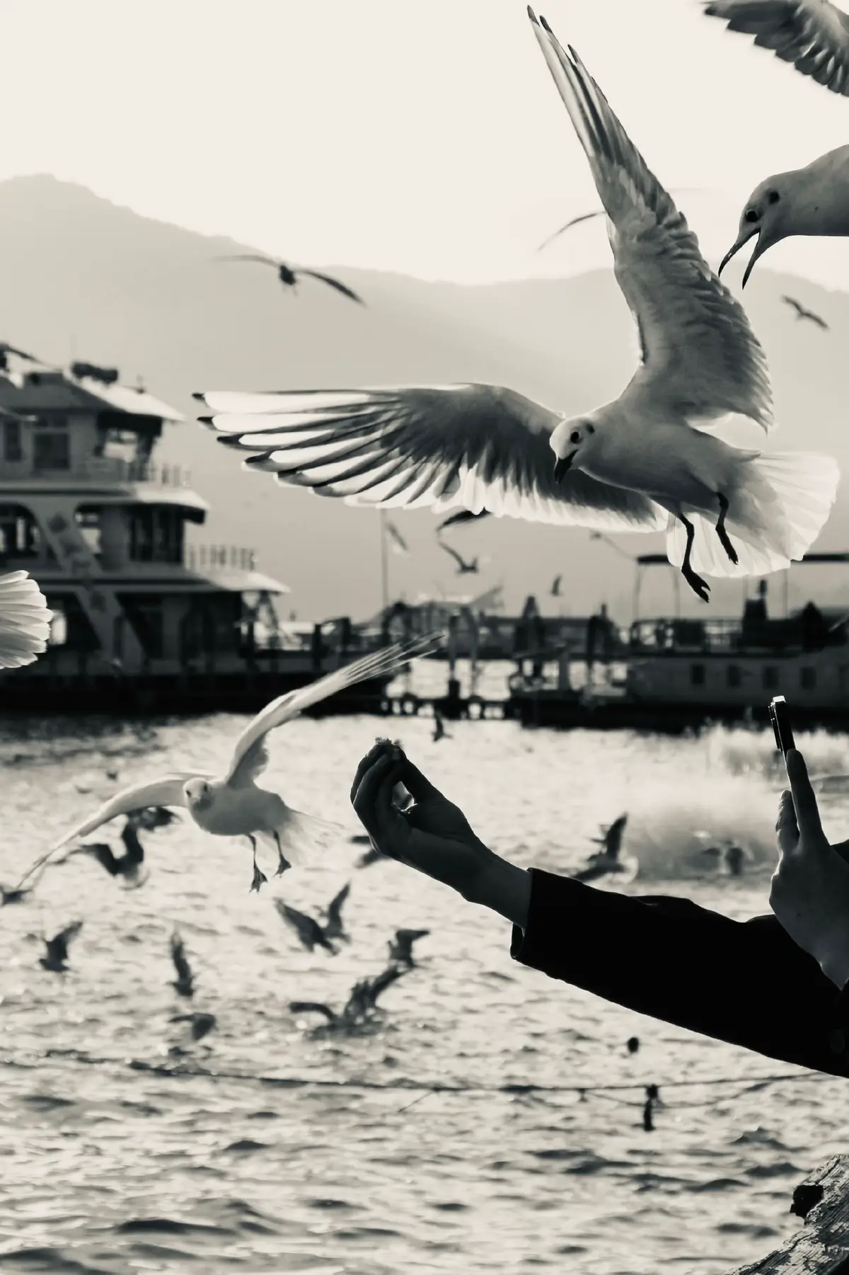 “鸟儿不用问风往哪吹，它只飞向自己想去的地方。”